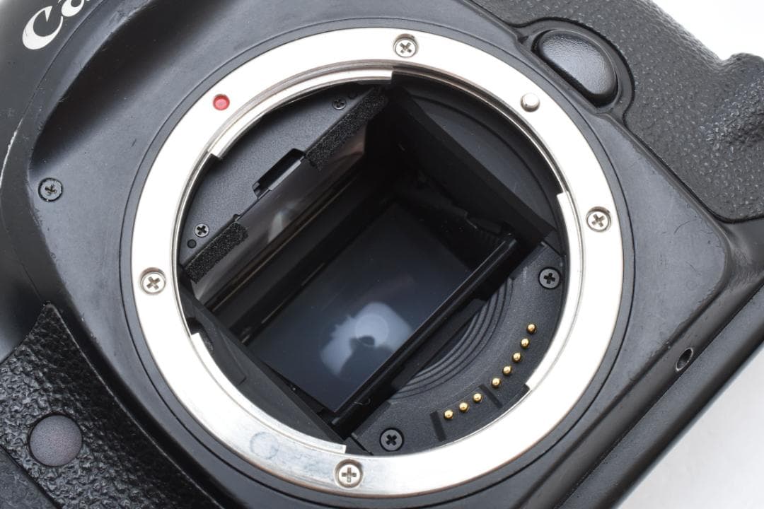 Canon eos 1v body キャノン ボディ フィルム