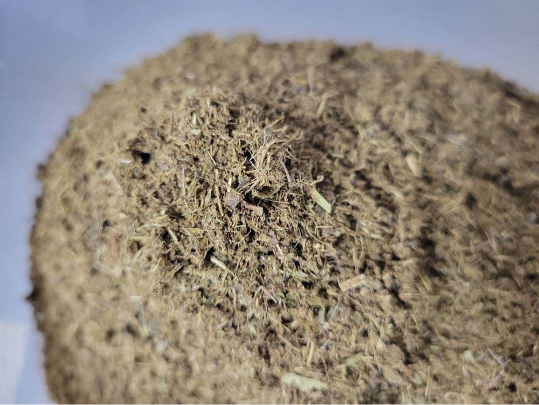 【大入】犬用スーパーフード【ふりかけで食欲アップ】グリーントライプ　ドライ　1袋