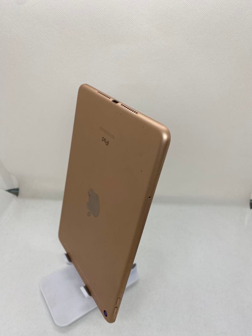 iPad mini 5 - 64GB SIMフリー 23972