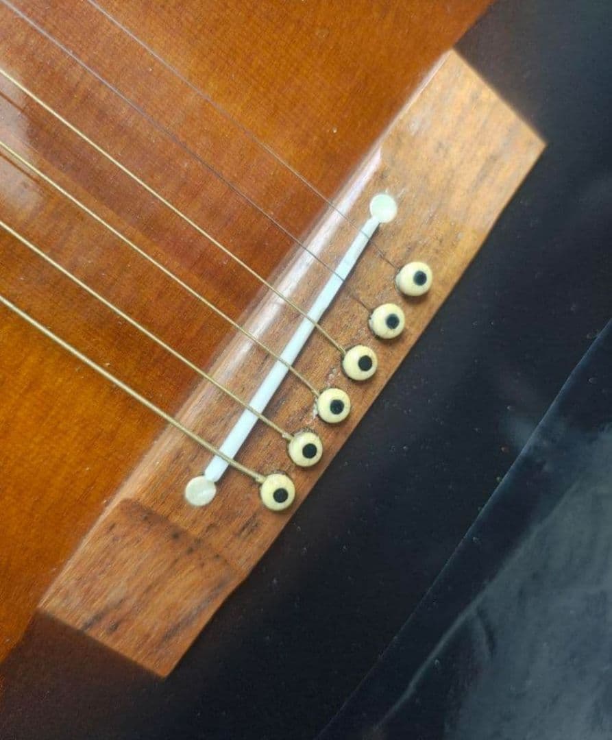 TAKAMINE DSP-410 ニューヨーカー PU付エレアコ　長渕剛