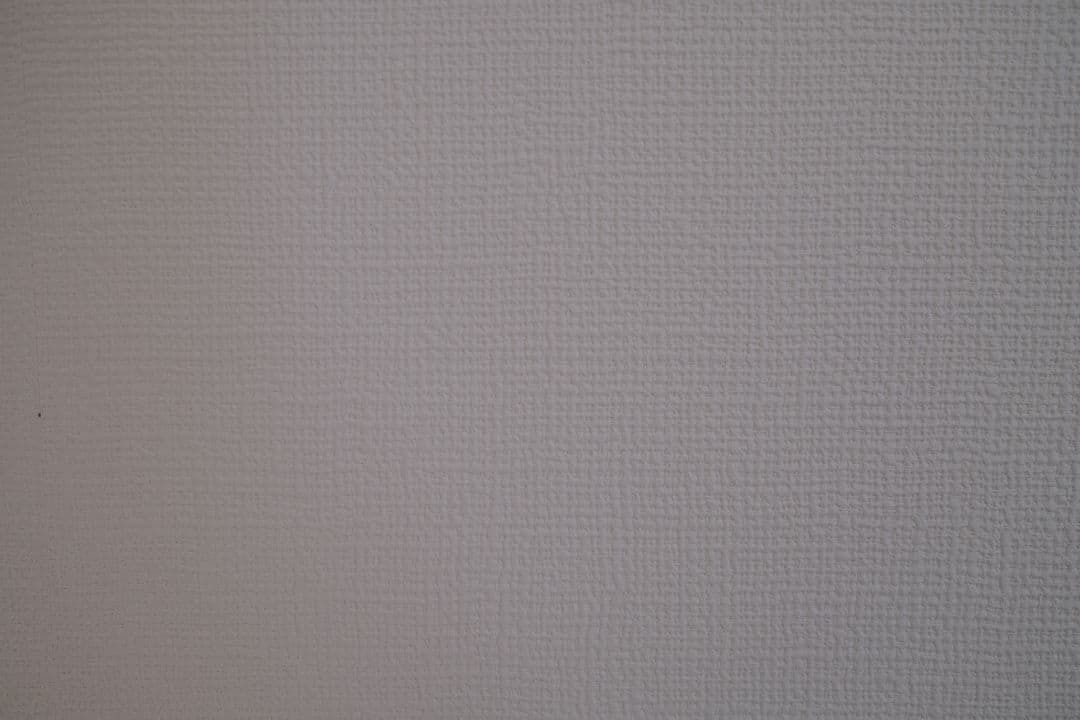 Fujifilm X100V カメラ