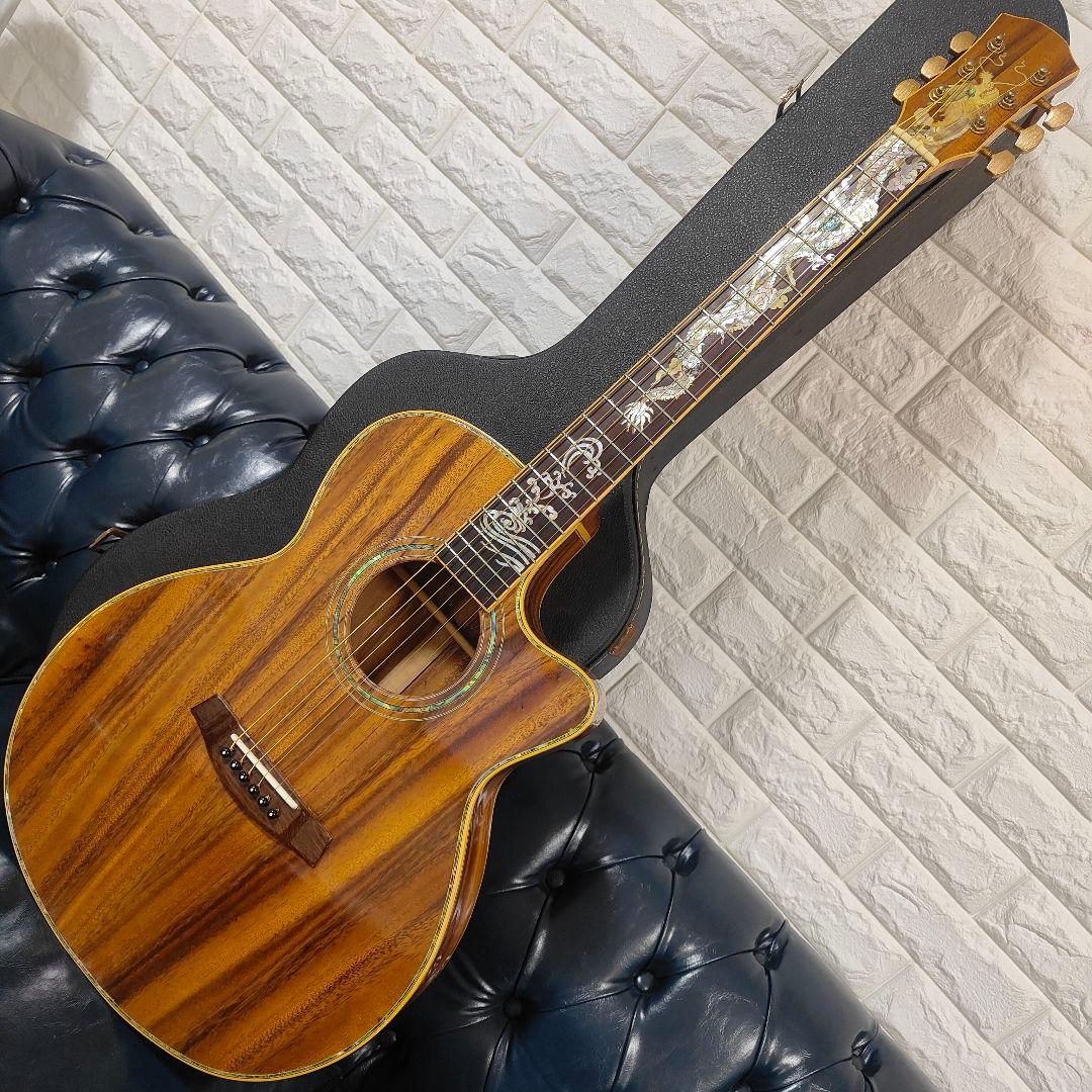 豪華アバロン！オールコア単板 アコースティックギター 龍インレイ フルコア 希少