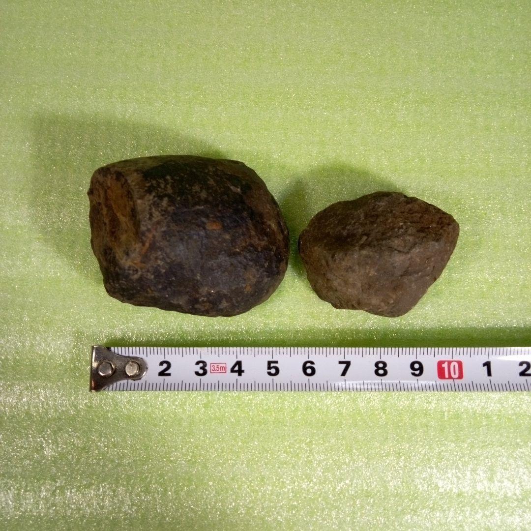 三葉虫　化石　fossil　ボリビア産　レア　Fossil判別⑦