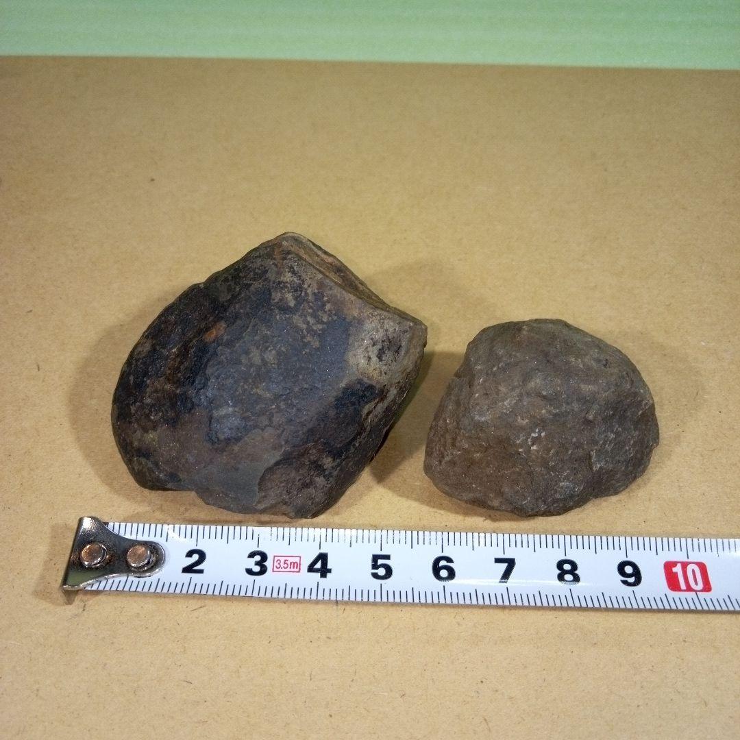 三葉虫　化石　fossil　ボリビア産　レア　Fossil判別⑦