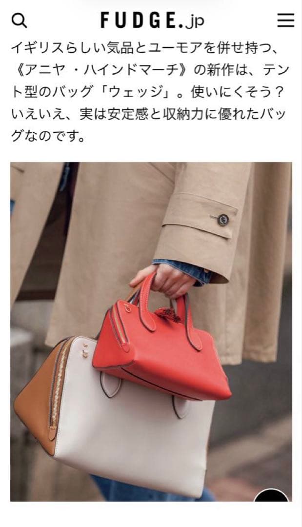 ANYA HINDMARCH Wedge：ウェッジ 三角形のバッグ