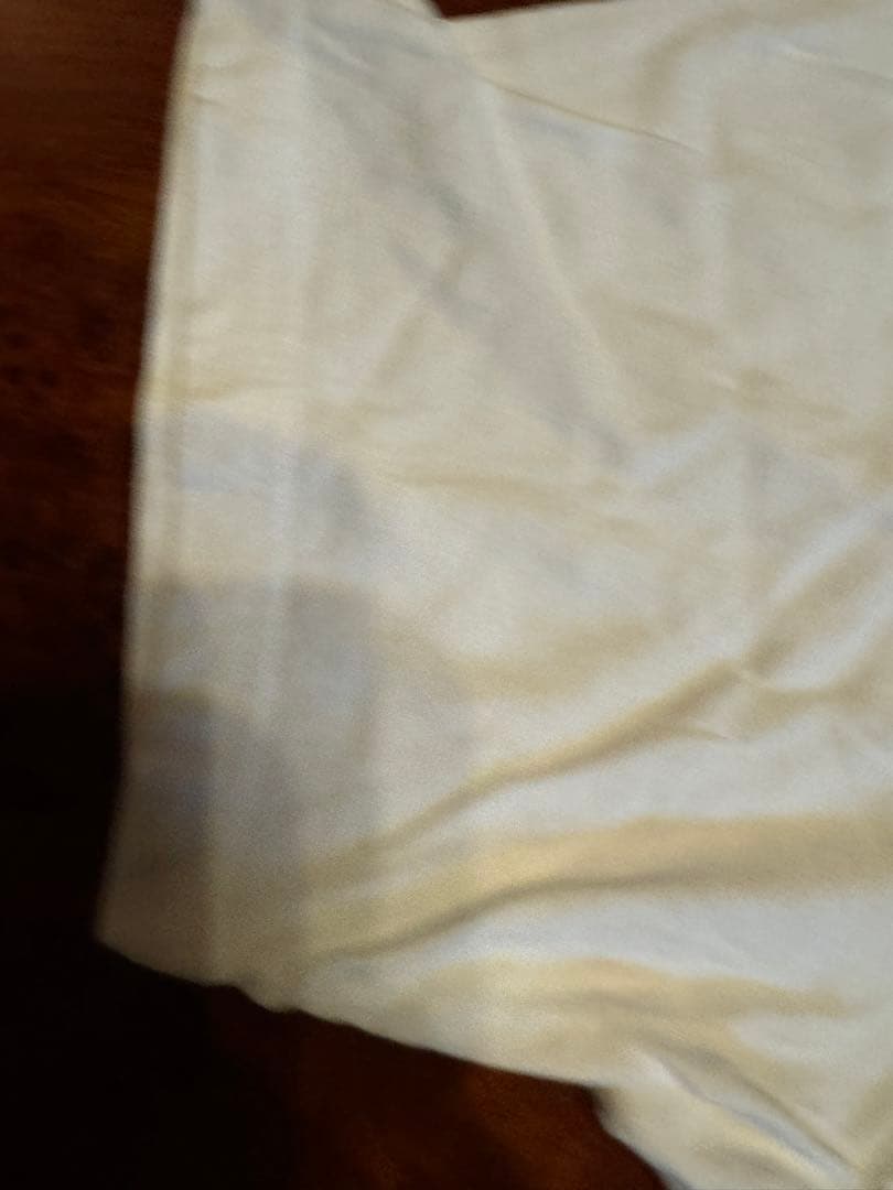 レディガガ白グラフィックTシャツサイズ表記L2010年コピーライト入り