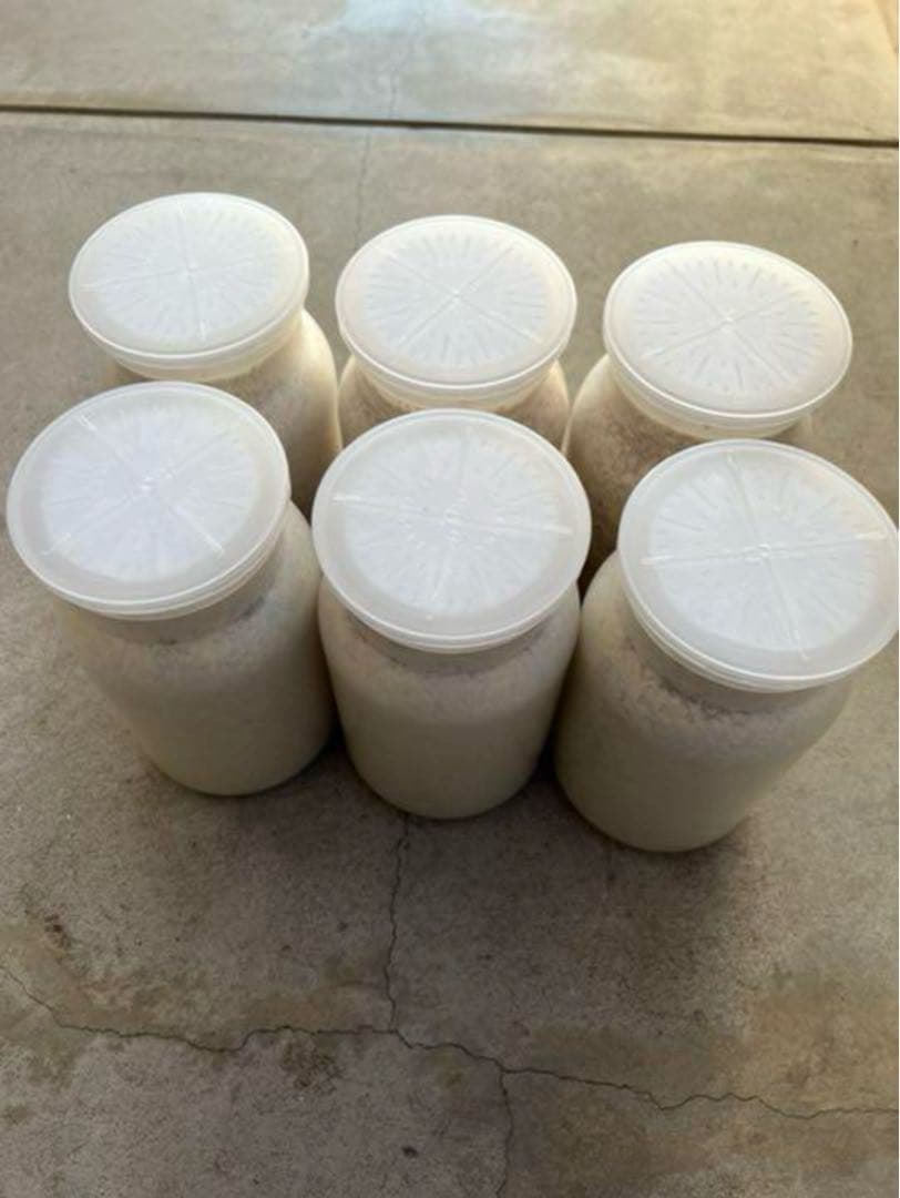 カワラ菌糸瓶1100 １０本