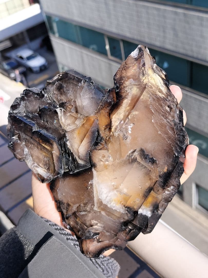 【超特価】スモーキーエレスチャル　金色のきらめき