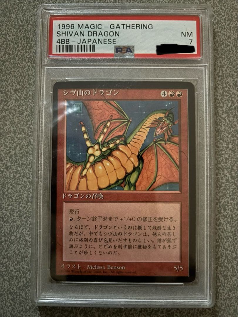 シヴ山のドラゴン MTG 日本語 NM PSA鑑定品