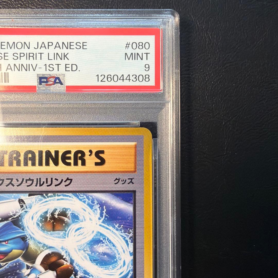 PSA9 カメックス ソウルリンク