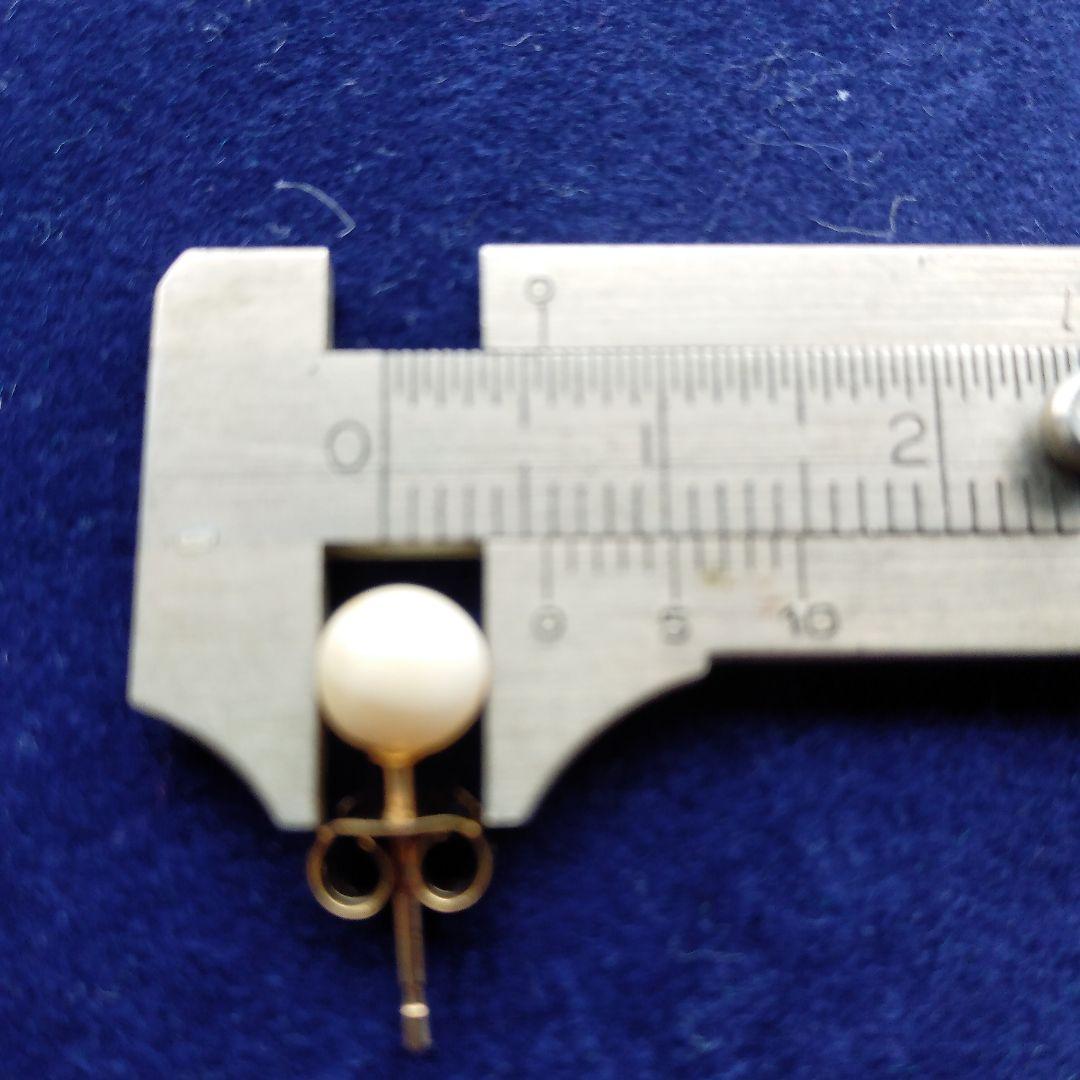 鯨歯　マッコウクジラ　イヤリング＆ピアス