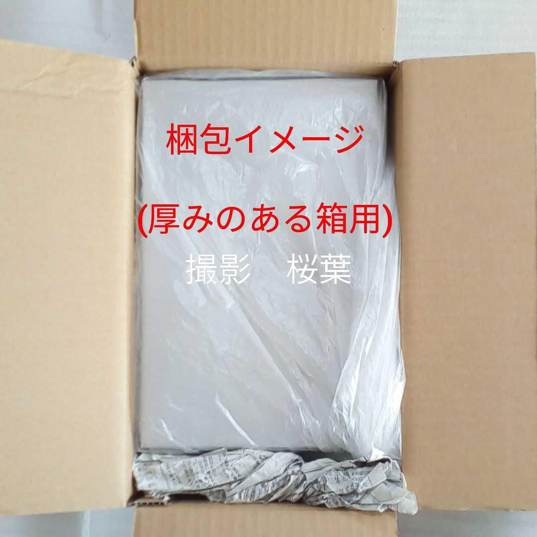 ガンプラ mg ジム・スナイパーII（ホワイト・ディンゴ隊仕様） 未組立