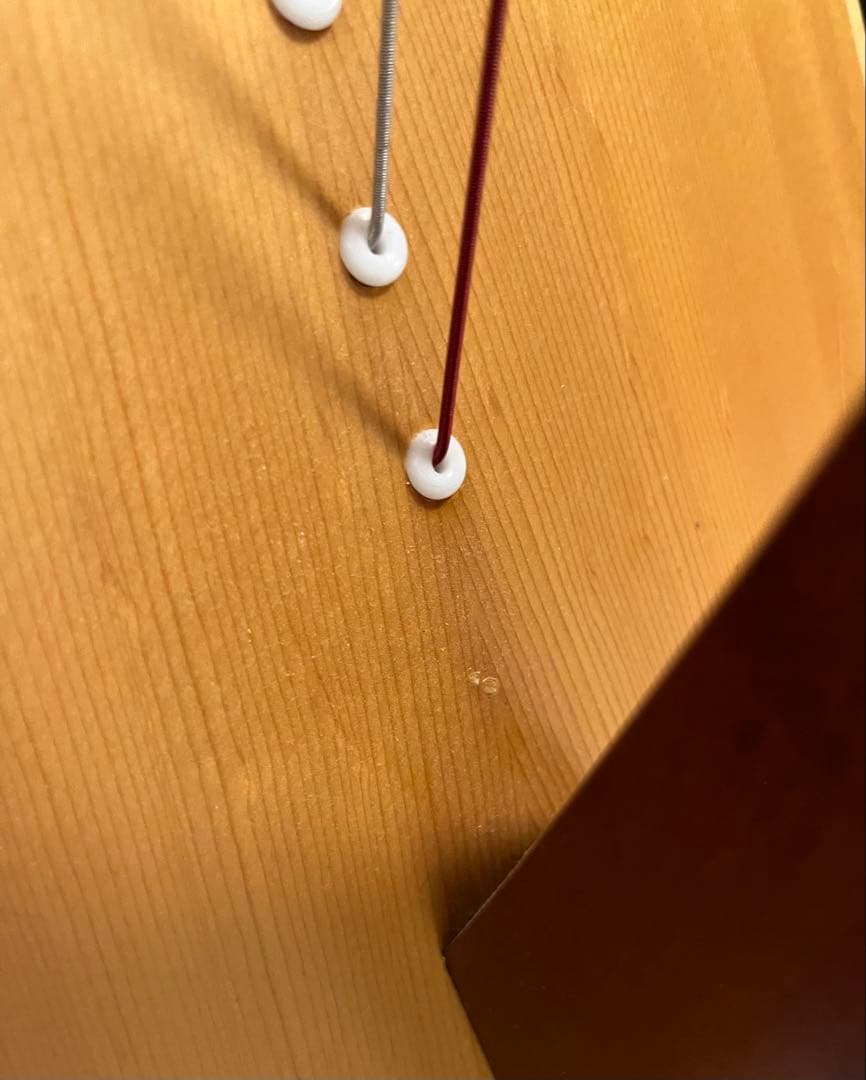 Salvi MIA 34弦 レバーハープ アイリッシュハープ チューナー&カバー