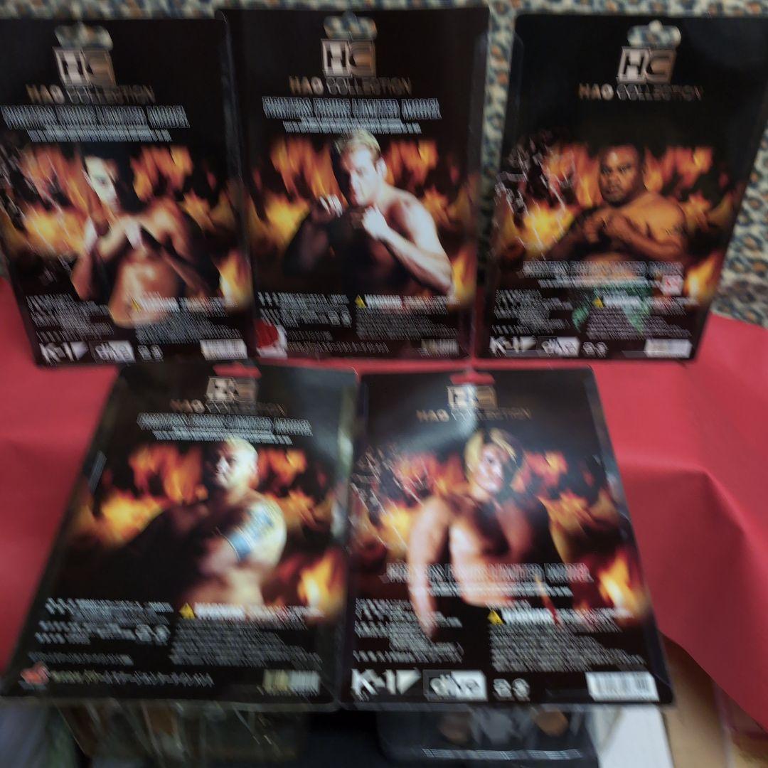 バダ・ハリ*ジョシュ・バーネット*マイティー*　マーク・ハント*チェ・ホンマン