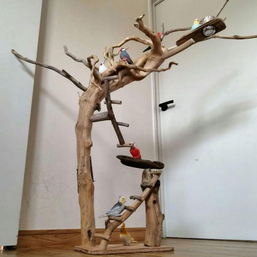 おつぶバードアスレチックジム㊽ 天然木 自然木 流木 止まり木 インコ