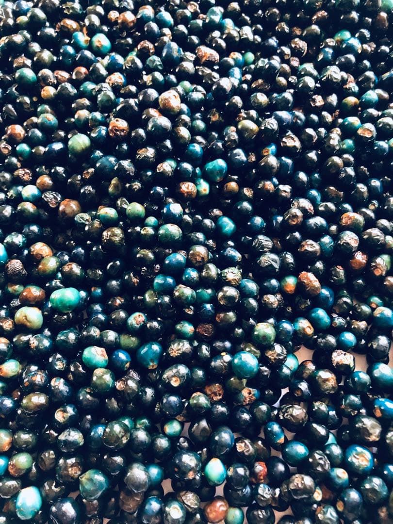 クサギの実　草木染め　1205g