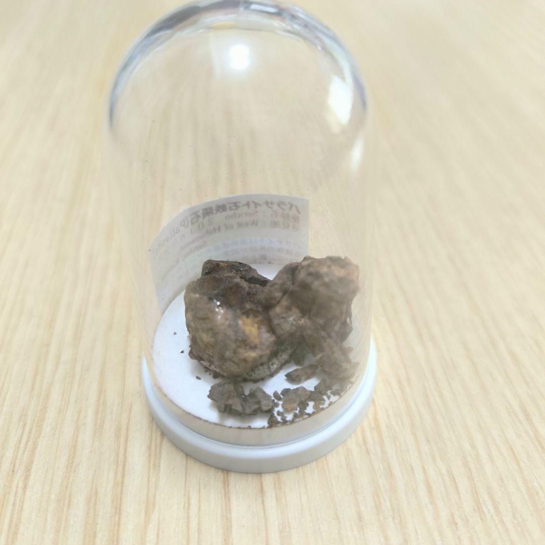 【希少】パラサイト石鉄隕石 (Pallasite) 標本 Sericho