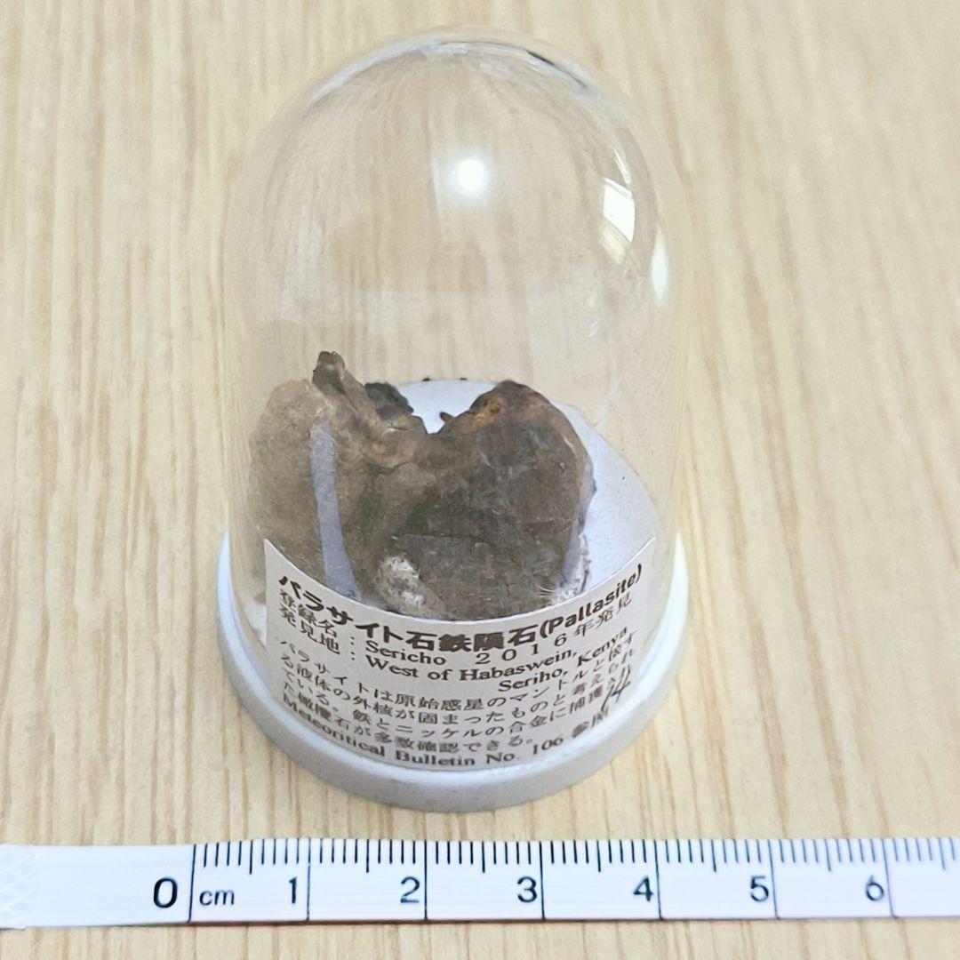 【希少】パラサイト石鉄隕石 (Pallasite) 標本 Sericho