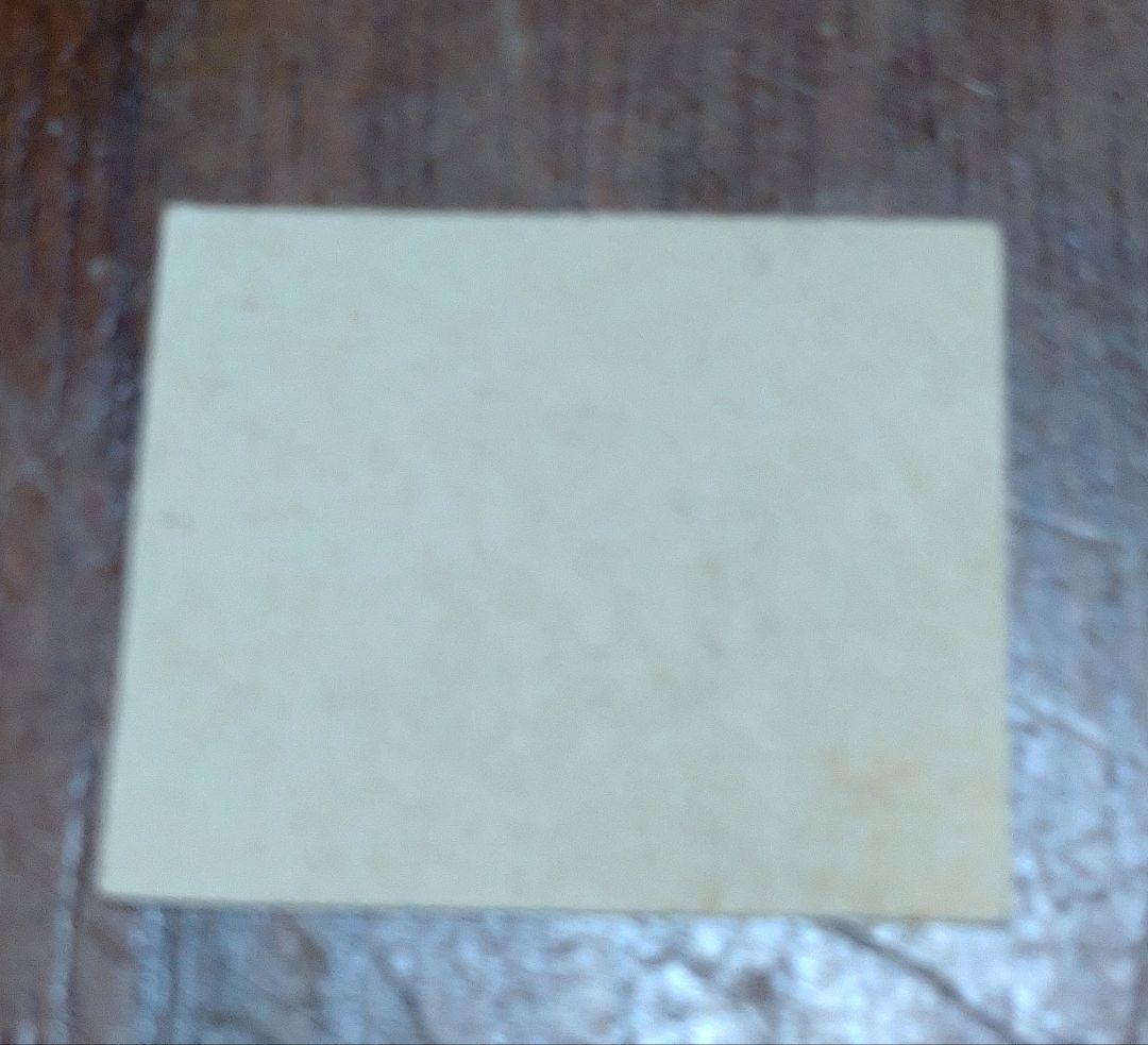 アルゼンチンBuenos Aires1858パドルスチーマー未使用切手