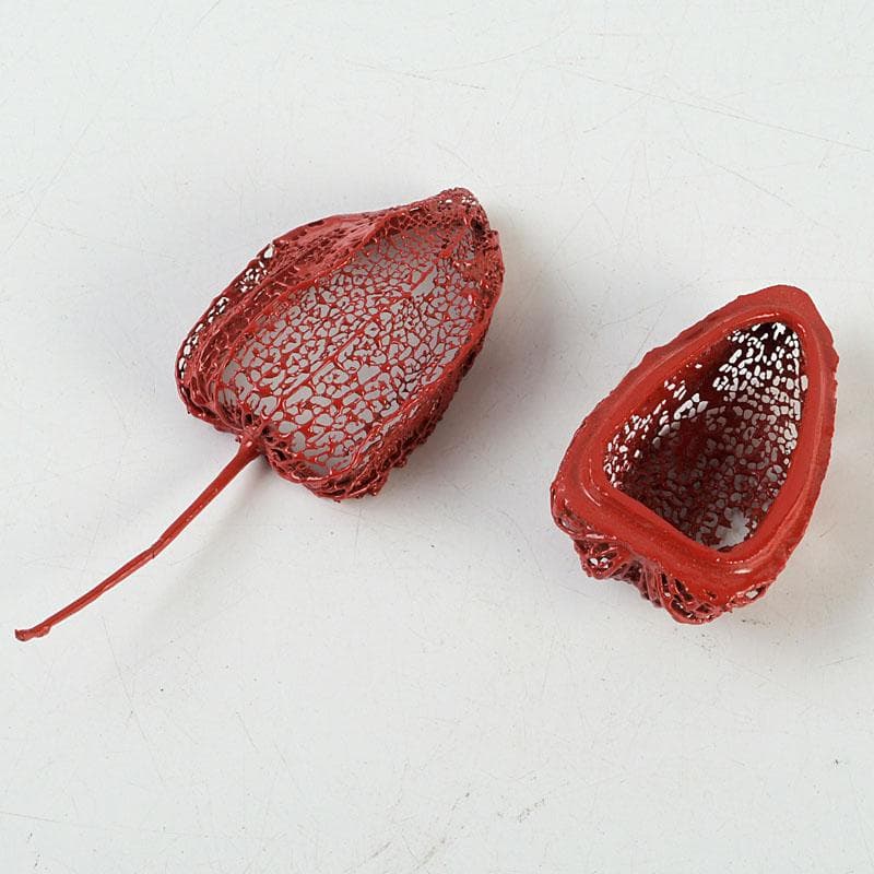 茶道具　乾漆　透かし鬼灯　香合　漆塗箱　V　9344