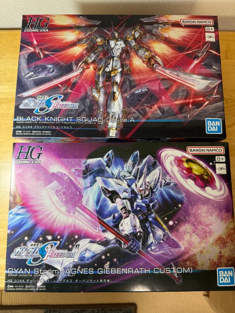【未組立】ガンプラ HG ブラックナイトスコードカルラ＆ギャンシュトローム