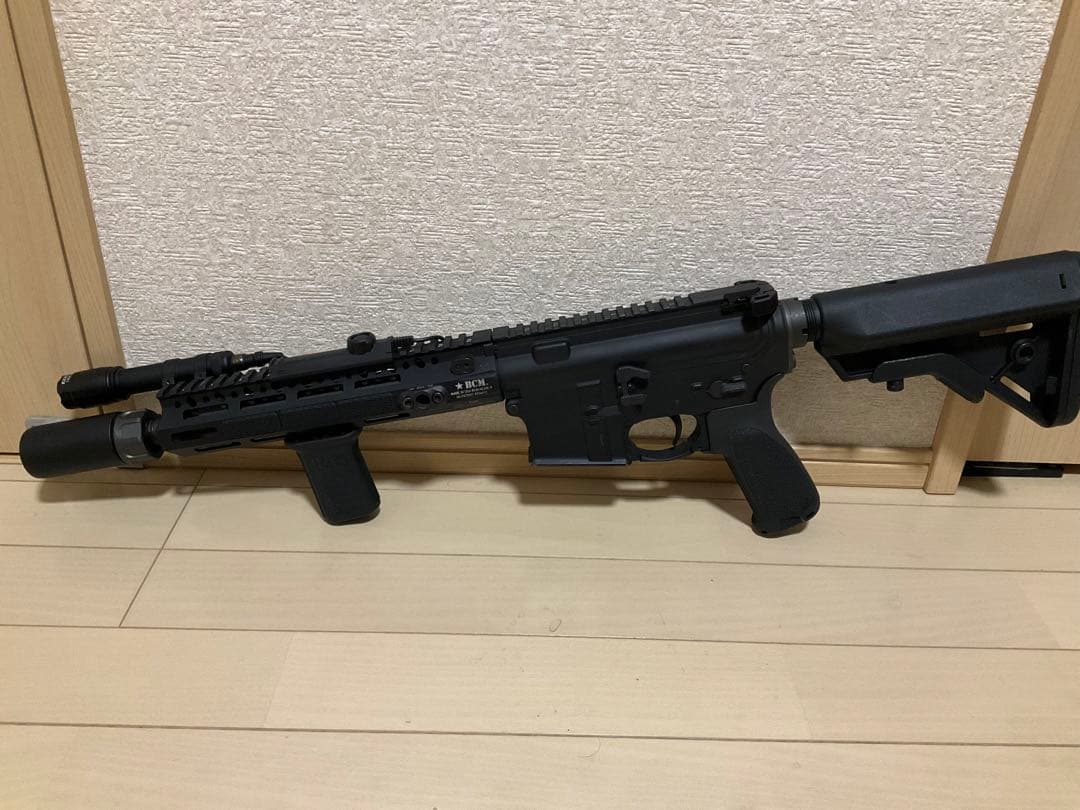 SYSTEMA PTW MOVE システマ　BCM