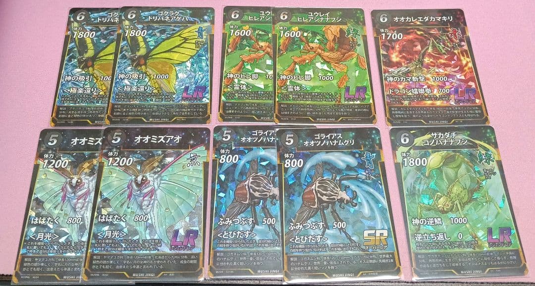 蟲神器　ゴクラクトリバネアゲハ　まとめ売り