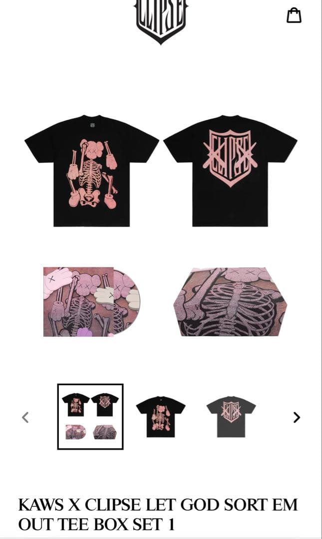 ミュージシャン KAWS X CLIPSE