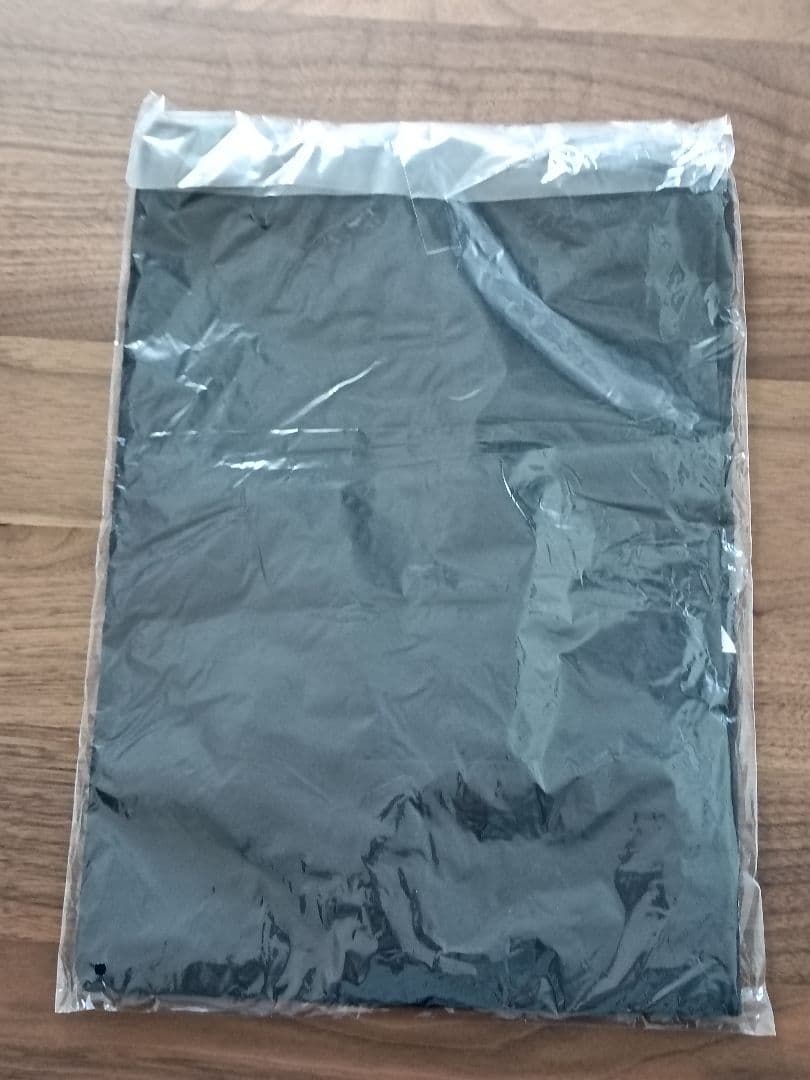 PTP Tシャツ　pay money to my pain Mサイズ 新品未使用