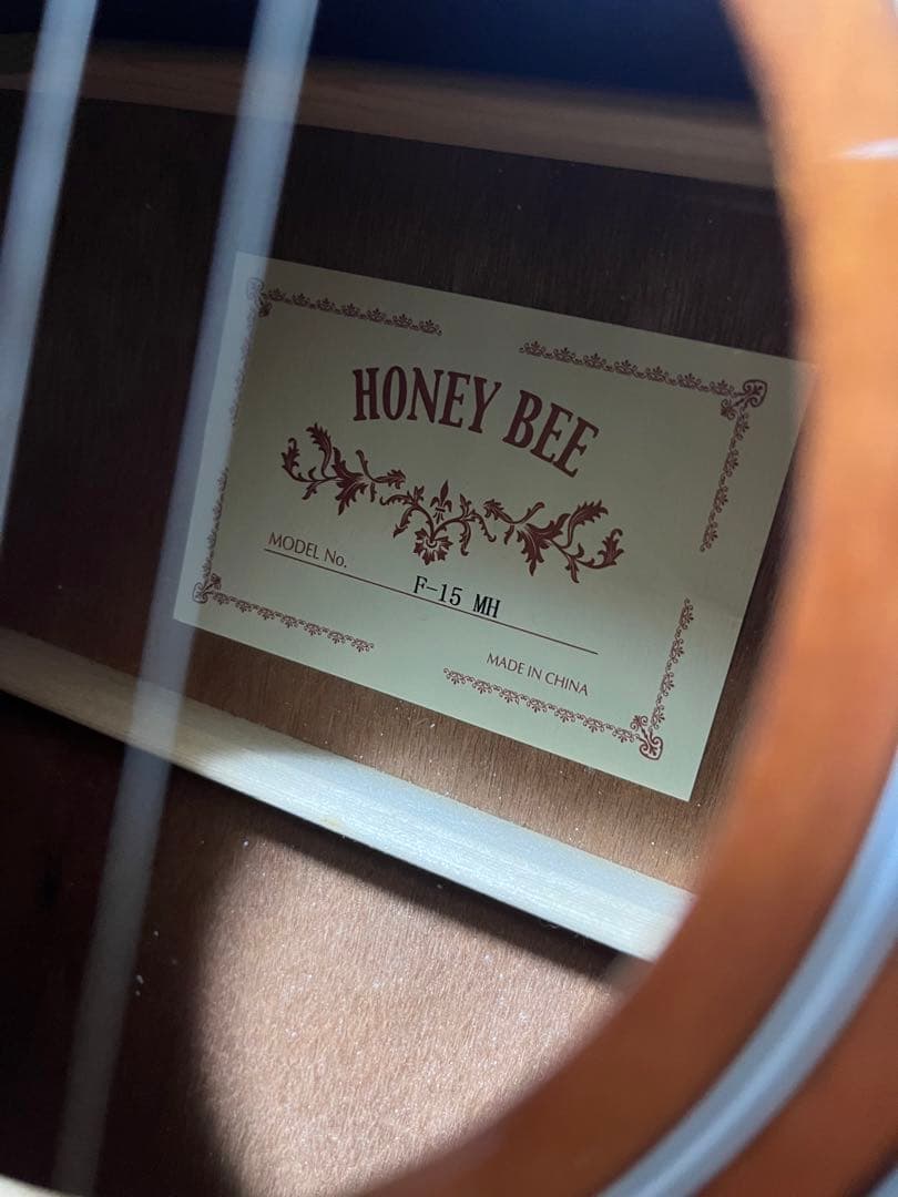 #HONEY BEE アコースティックギター F-15MH その他付属品セット