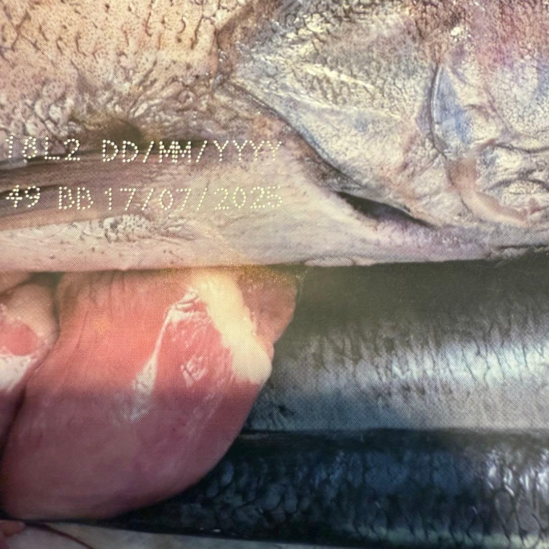 ORIJEN オリジン パピー ドッグ 【6kg】2025/07