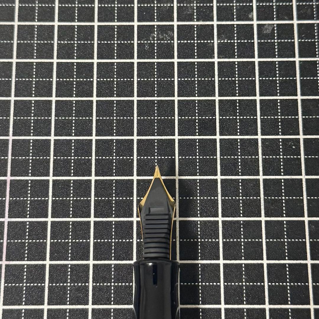 【希少】プラチナ 万年筆 ＃3776 屋久杉