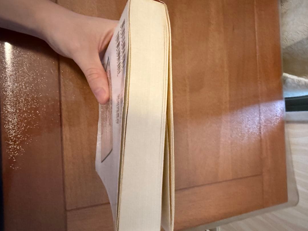 ⭐︎希少本⭐︎ 問題解決学習のストラテジー