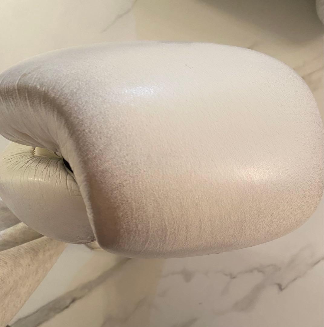 taro　Winning プロフェッショナル用14オンスグローブ