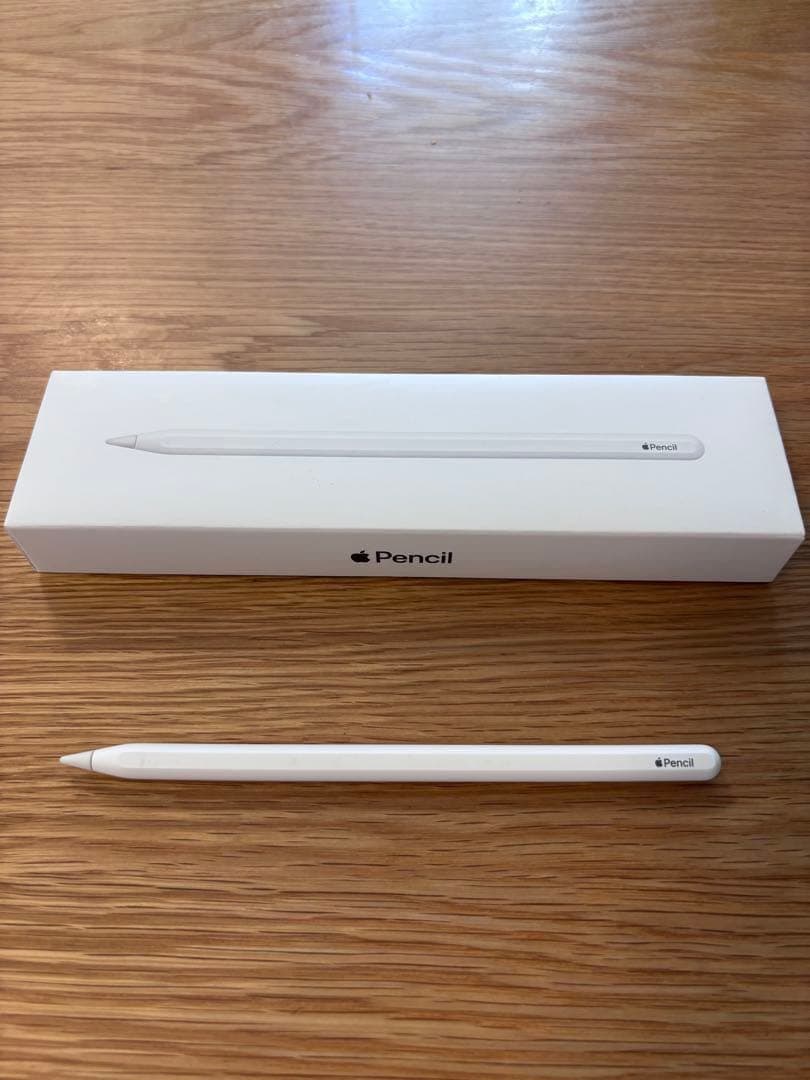 【ペン先予備付き】Apple Pencil 第2世代 アップルペンシル第二世代