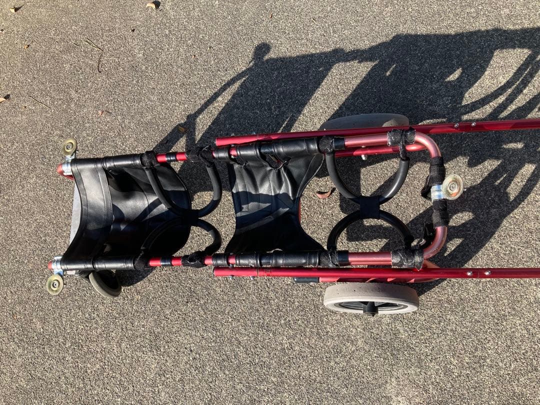 犬用車椅子　介助歩行器　コーギー用