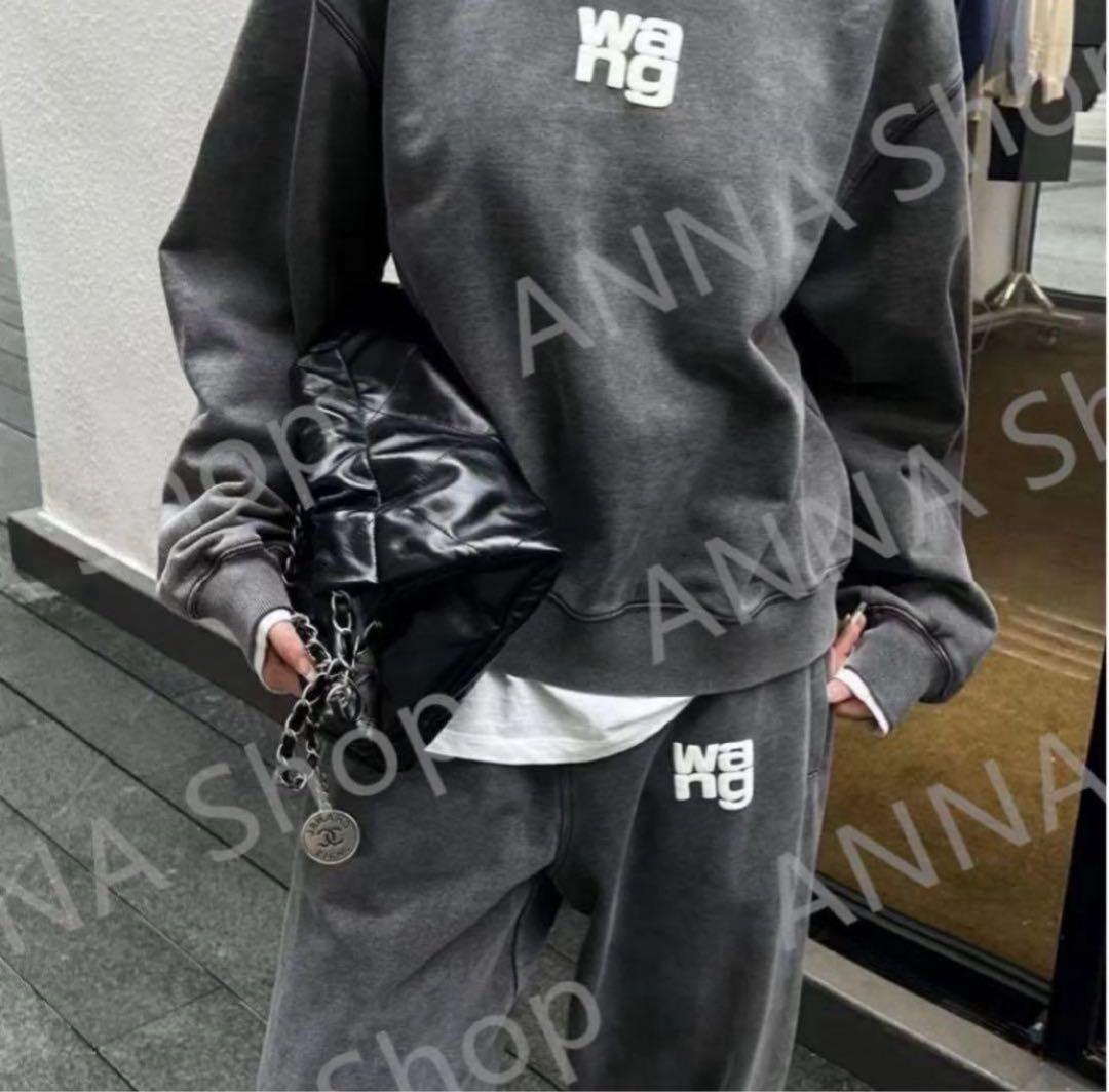 ALEXANDER WANG パーカーのみ