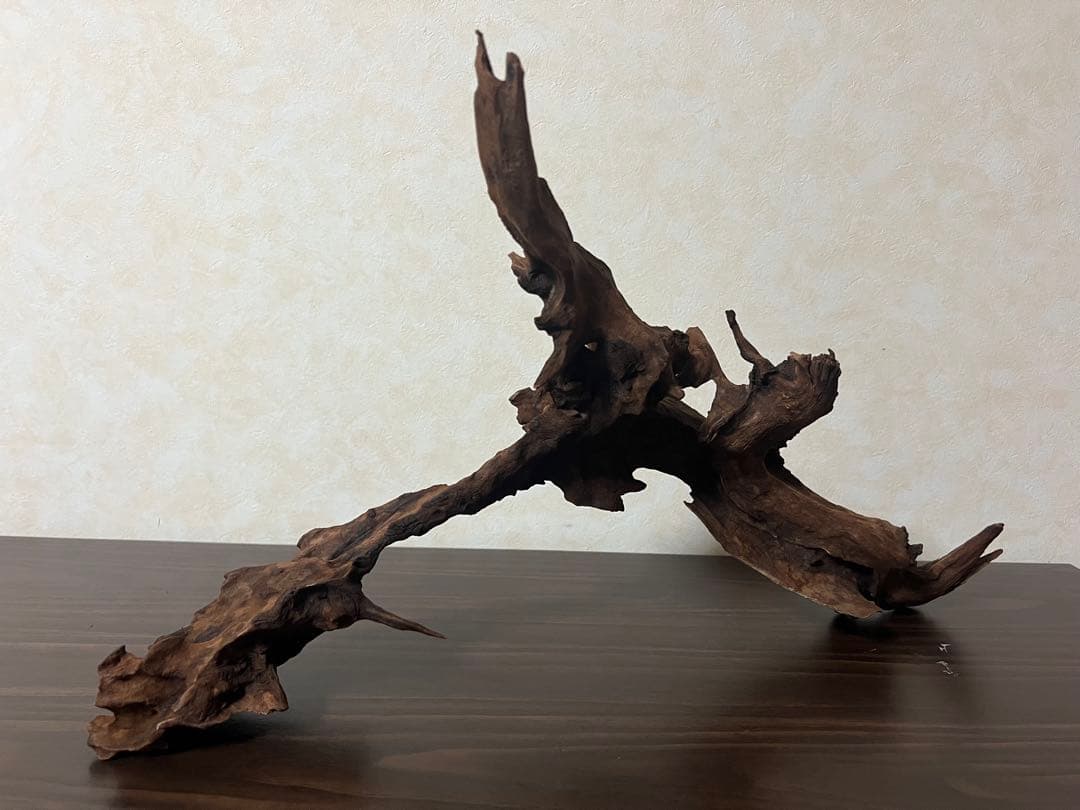 HX-057流木　マシンガンウッド　ホーンウッド アクアリウム　ブランチウッド