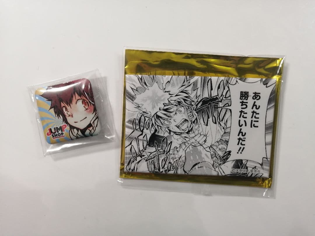 家庭教師ヒットマンREBORN 沢田綱吉 京都 キャラバッジ 缶バッジ