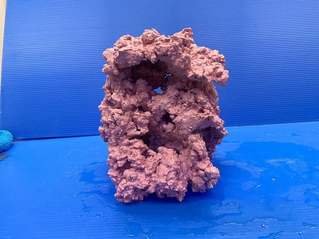 人工ライブロック　No.40. 無害化処理済