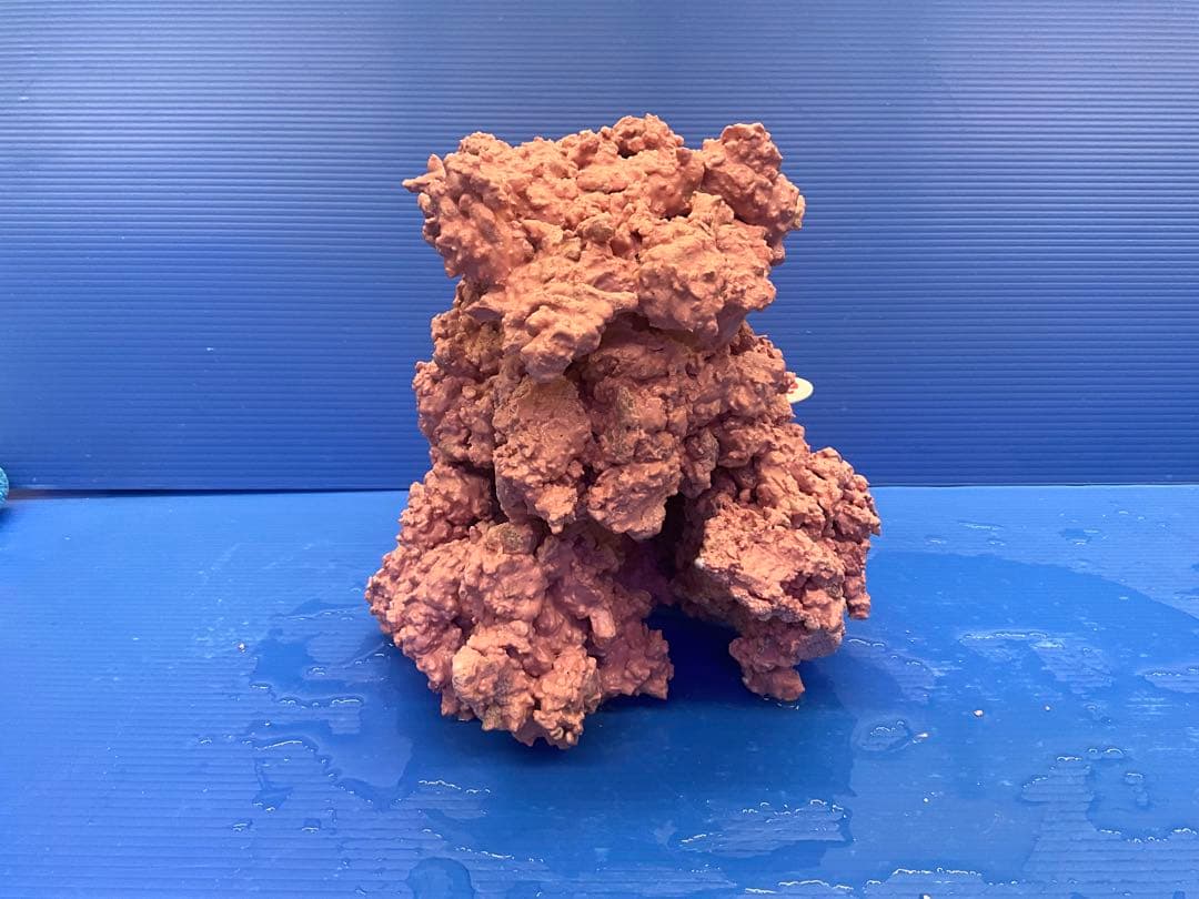 人工ライブロック　No.40. 無害化処理済