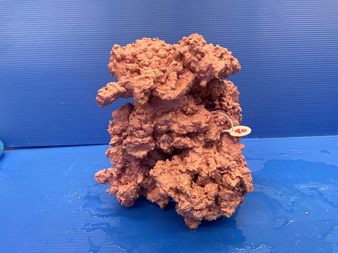 人工ライブロック　No.40. 無害化処理済