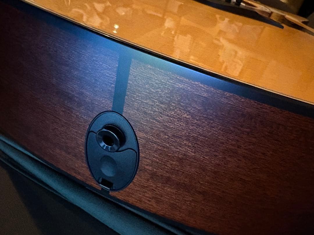 meromu　光栄堂　taylor 314ce Vクラス　日本限定仕様