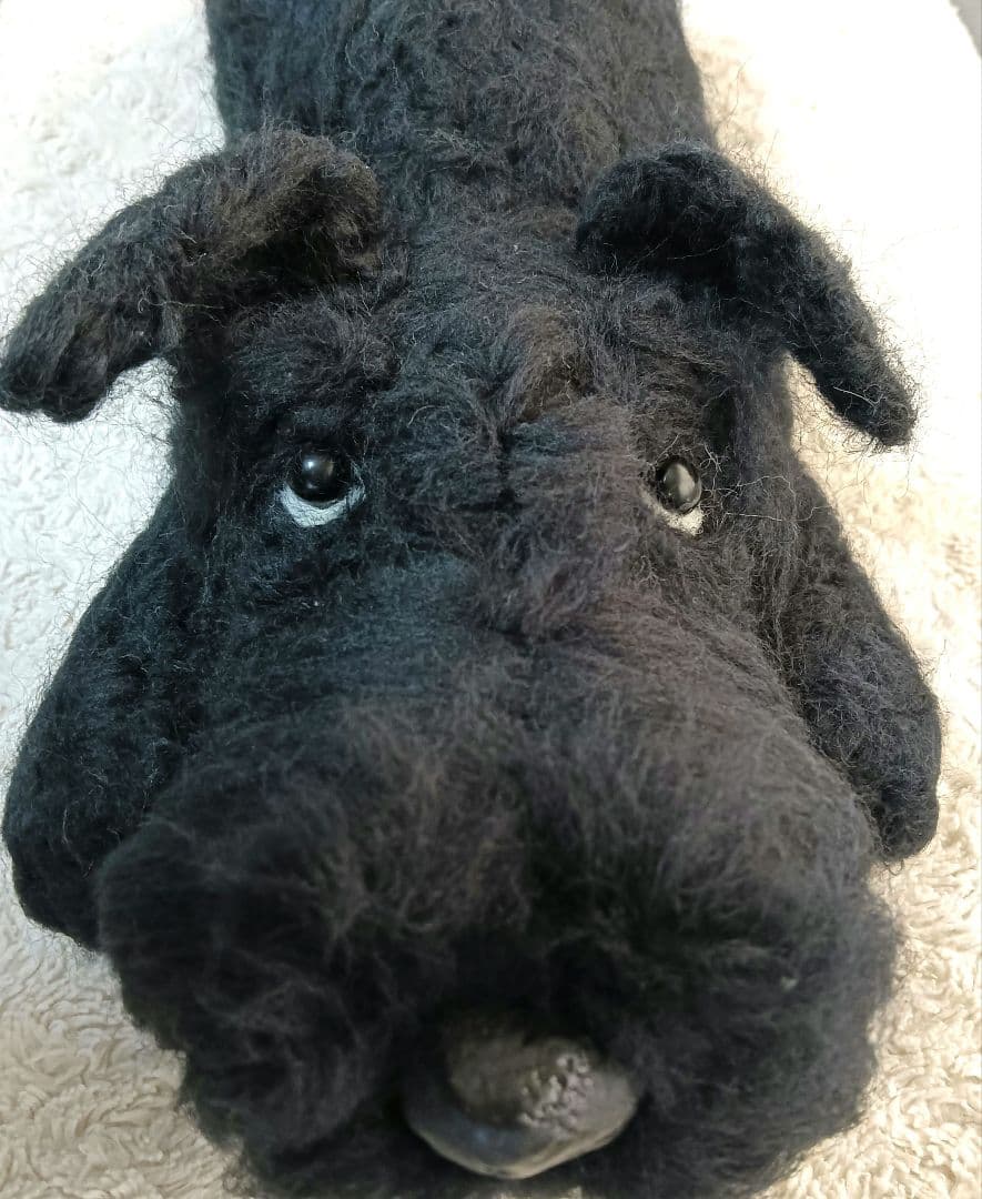 お客です羊毛フェルトぬぼっとまったり見上げてなでなで待ちの特大黒シュナ