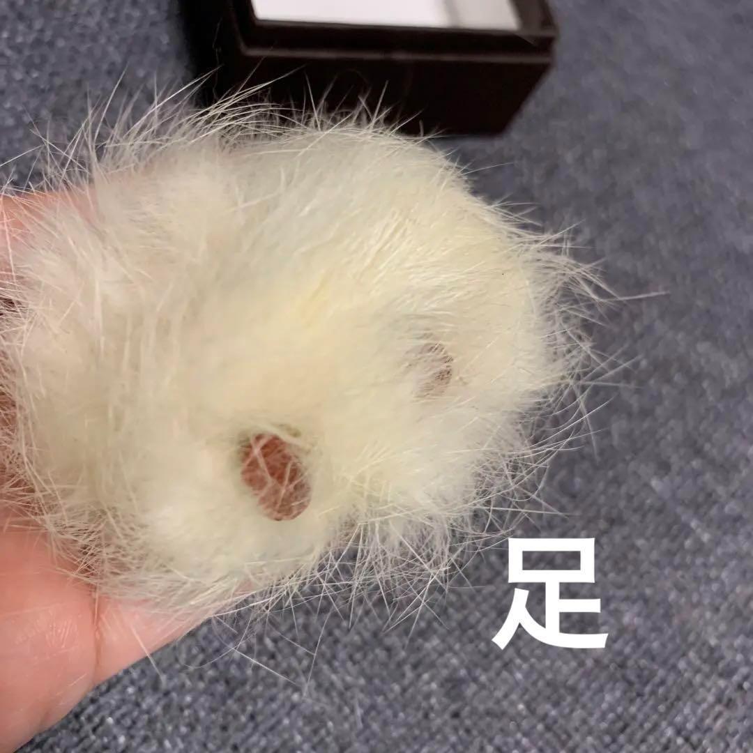 希少　レア　キューピー　人形　毛