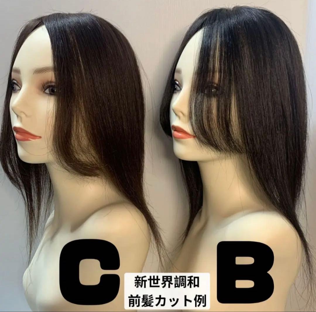 2025新世界ウィッグ高級人毛100% レミー人毛【総手植え】 S Sサイズ