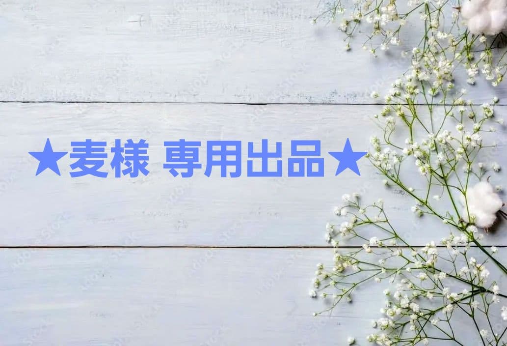 ★専用★BE:FIRSTペンライトver.1&モアプラスマスコット SHUNTO