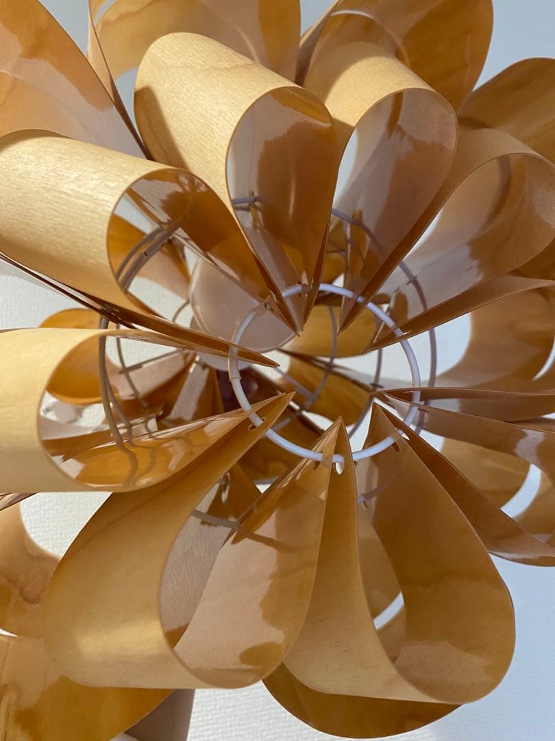 Don-wood どん ウッド　デザイナーズ照明　⭐︎おまけ電球付⭐︎