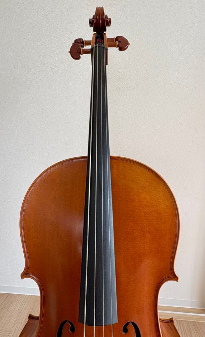 チェロ1/2 Pygmalius STANDARD/ピグマリウス スタンダード