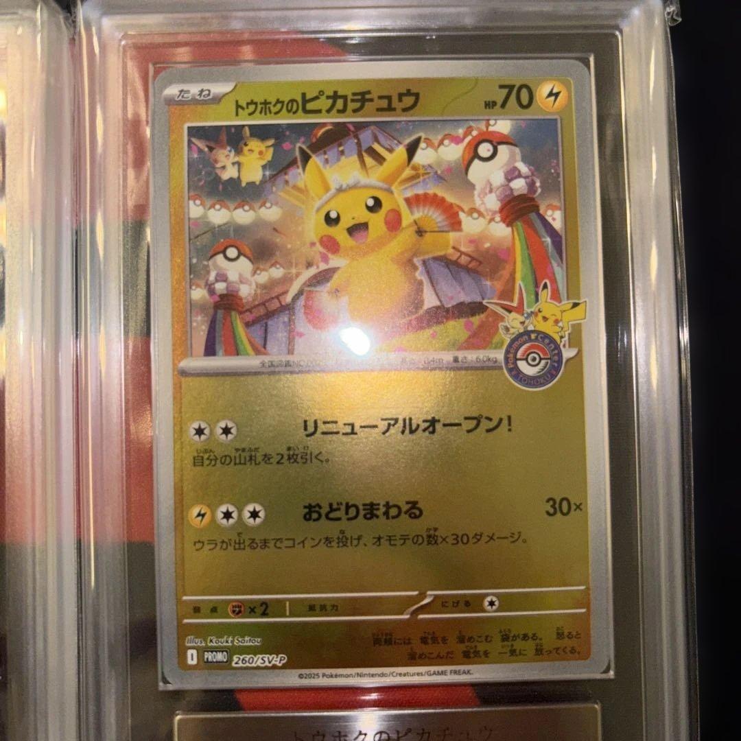 トウホクのピカチュウ ヒロシマのピカチュウ　ARS9